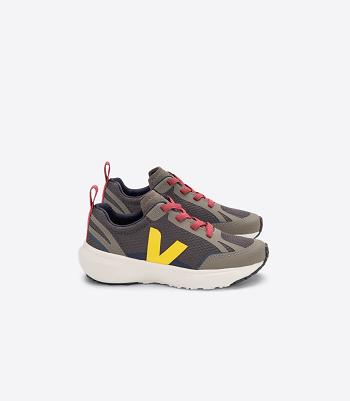 Veja Canary Elastic Laces Alveomesh Grafite Tonic Kids Vegan Grijs | BENEJ10988